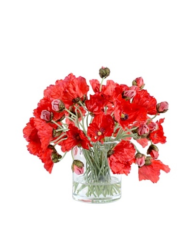 New Growth Designs Wild Poppy Stems in 6″ Cylinder Vase