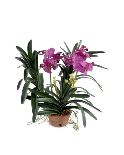 New Growth Designs Faux Vanda Orchid Plant, Plum