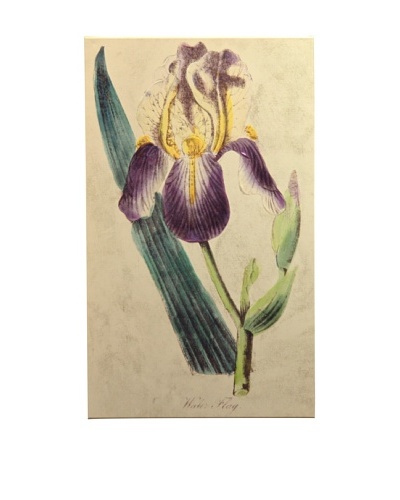New York Botanical Garden Serene Botanical Giclée on Canvas