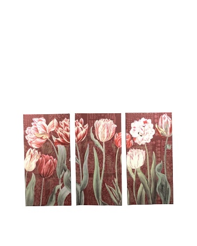 New York Botanical Garden Tulip Study Triptych Giclée on Canvas