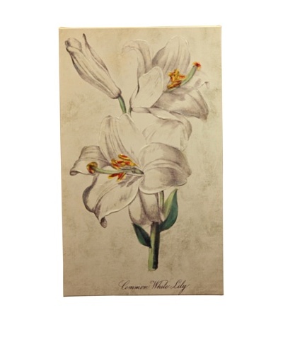 New York Botanical Garden “Serene White Botanical” Giclée on Canvas