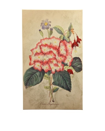 New York Botanical Garden “Serene Botanical” Giclée on Canvas