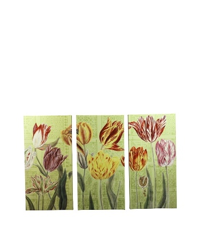 New York Botanical Garden Green Tulip Study Triptych Giclée on Canvas