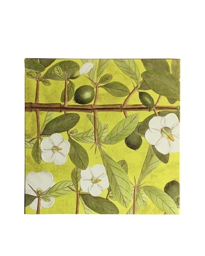 New York Botanical Garden “Fabric Pattern” Giclée on Canvas