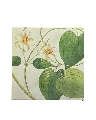 New York Botanical Garden “Fabric Pattern” Giclée on Canvas