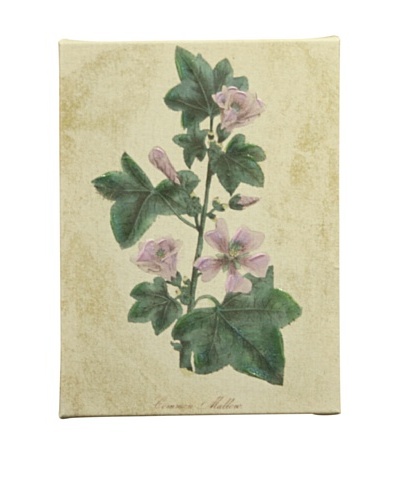 New York Botanical Garden “Botanicals” Giclée on Linen Canvas