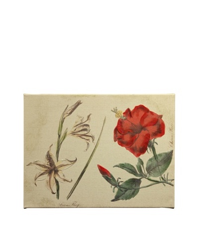 New York Botanical Garden “Botanicals” Giclée on Linen Canvas