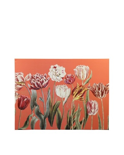 New York Botanical Garden “Tulip Study” Giclée on Canvas