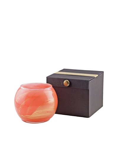 Northern Lights Candles Esque 7-Oz. Soft Candle, Coral Rose