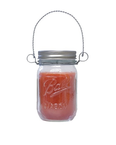 Northern Lights Candles 12-Oz. Spiced Apple Mason Jar Candle