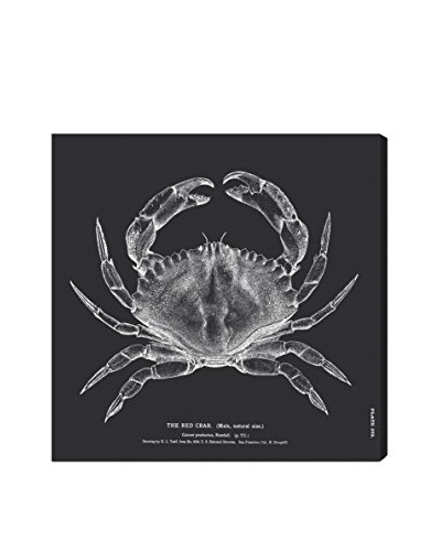 Oliver Gal The Red Crab Canvas Art