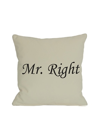 One Bella Casa Mr. Right Pillow