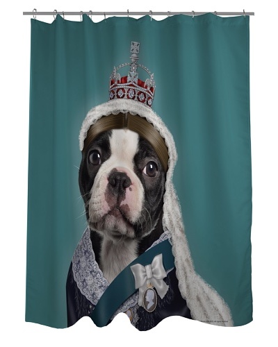 Pets Rock Queen Shower Curtain