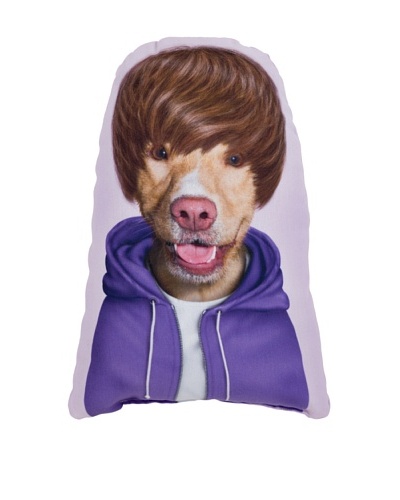 Pets Rock Teen Pillow