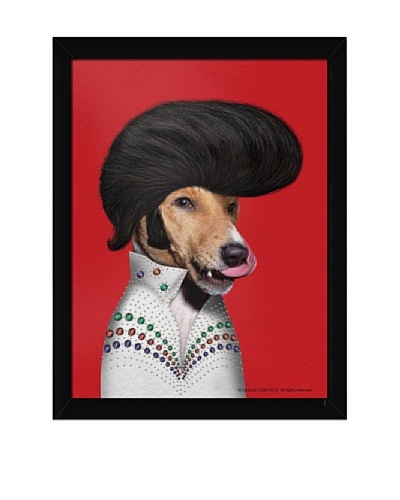 Pets Rock “Rock n’ Roll” Framed Art