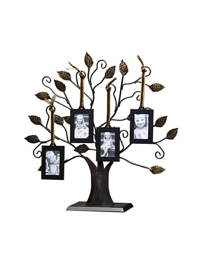 Philip Whitney Medium Tree of Life Frame Set