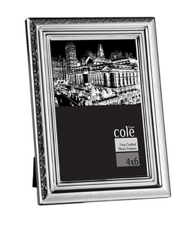 Philip Whitney Etched Silver Border 4″x6″ Frame