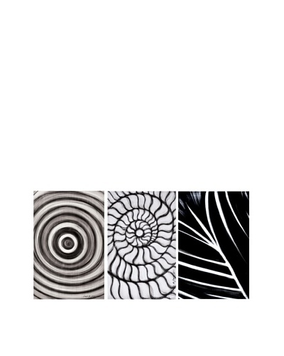 Phillips Collection Set of 3 Codigos Abstract Wall Décor, Black/White