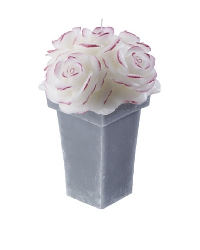 Point a la Ligne Scented Victoria Rose Candle In Wax Pot, White, Large