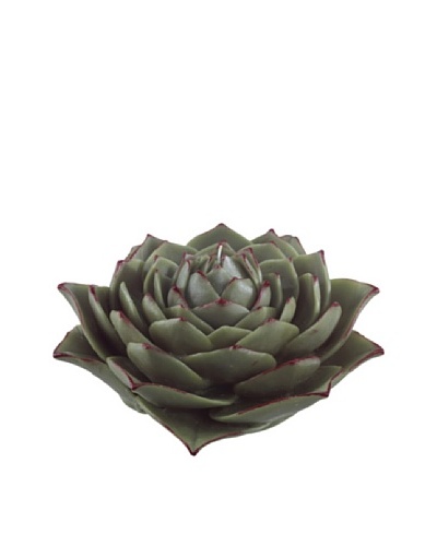 Point a la Ligne Echeveria Centerpiece Candle, Green