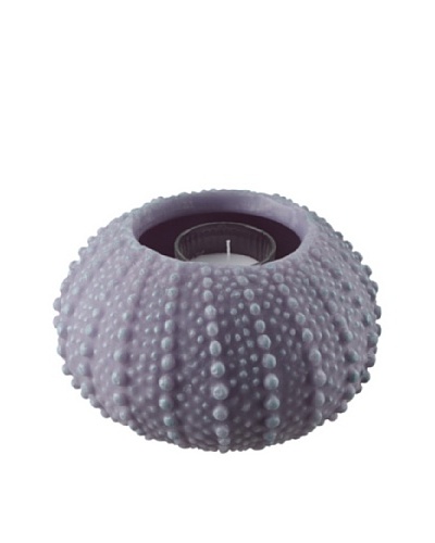 Point a la Ligne Sea Urchin Refillable Hurricane, Grey