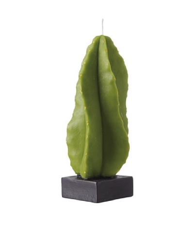 Point a la Ligne Cactus Candle on Stand