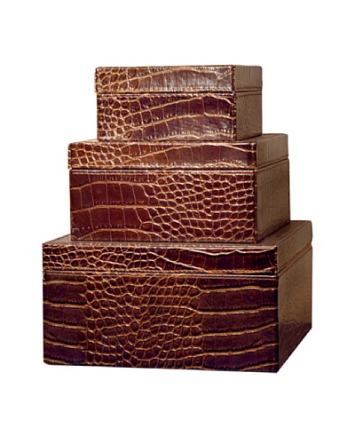 Pomeroy Set of 3 Embossed Alligator Square Boxes