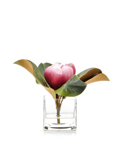 Winward Magnolia in Square Vase