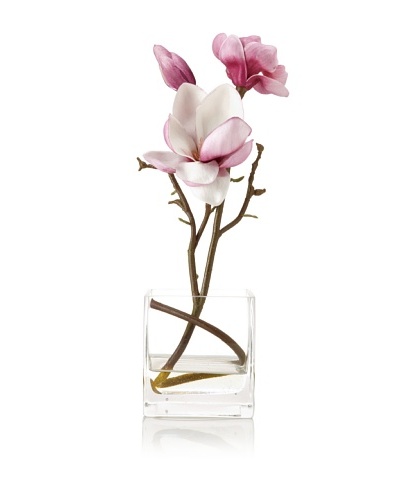 Winward Magnolia In Tall Square Vase