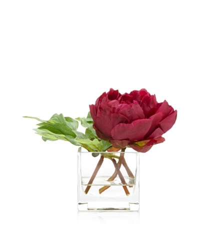 Winward Peony in Square Vase