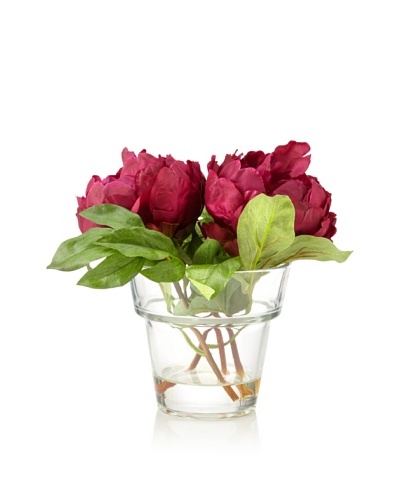 Winward Peony In Mussi Vase