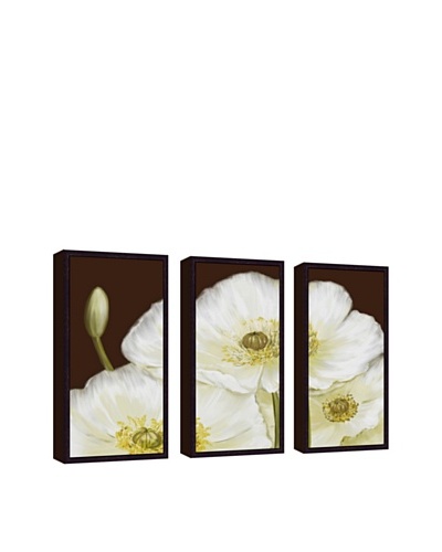 PTM Images White Poppy Giclée Triptych Canvas with Floater Frame