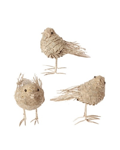 RAZ Set of 3 Assorted Birds