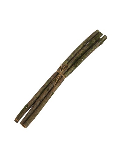 RAZ Faux Moss Branch Bundle