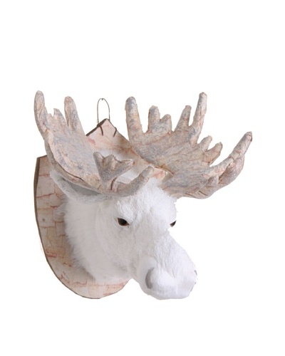 RAZ 11.5 Mounted Moose Head