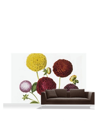 Royal Horticultural Society Dahlia Dwarf Mural, Standard, 12′ x 8′