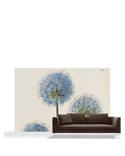 Royal Horticultural Society Allium Caeruleum Mural, Standard, 12' x 8'