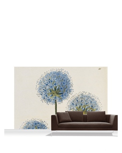 Royal Horticultural Society Allium Caeruleum Mural, Standard, 12′ x 8′