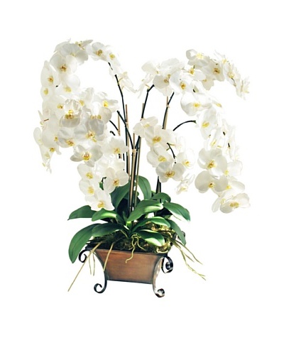 Winward Medium White Faux Orchid in Planter, White