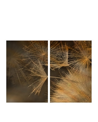 Art Addiction Set of 2 Extreme Dandelion II 36 x 24 Acrylic Panels