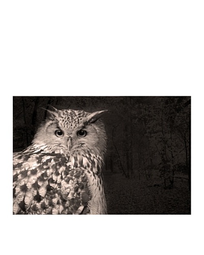 Art Addiction Owl 24″ x 36″ Acrylic Panel
