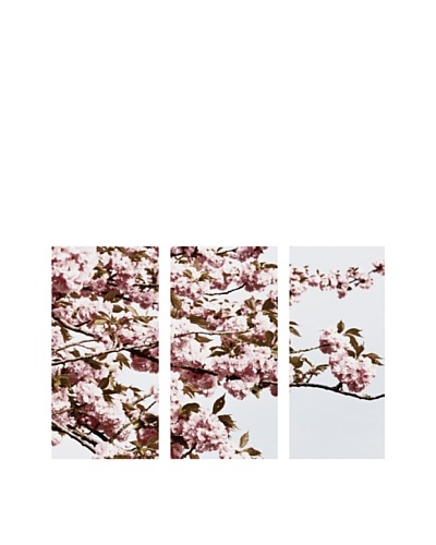 Art Addiction Cherry Blossom, Triptych