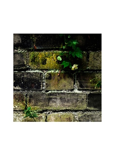 Art Addiction Brick/Moss