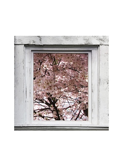 Art Addiction Spring Window VI, Pink