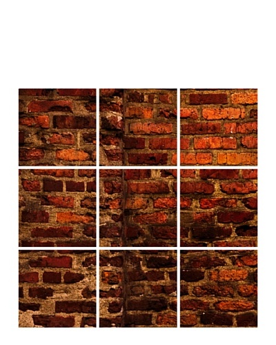 Art Addiction Set of 9 Red Brick Wall 12″ x 12″ Acrylic Panels