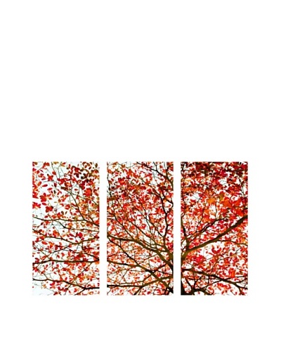 Art Addiction Set of 3 Autumn Foliage II 36″ x 18″ Acrylic Panels