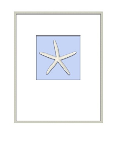 Soicher Marin Starfish Shadowbox Artwork