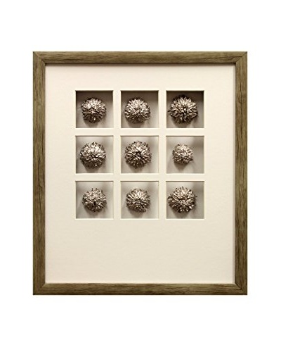 Star Creations Shadowbox of Champagne Acorn Cones
