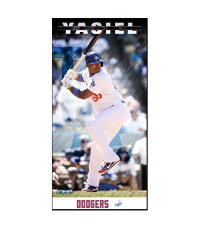 Steiner Sports Memorabilia Yasiel Puig Los Angeles Dodgers Player Profile Framed Photo