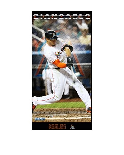 Steiner Sports Memorabilia Giancarlo Stanton Miami Marlins Player Profile Framed Photo